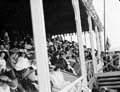 The Poole Photographic Collection