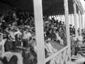 The Poole Photographic Collection