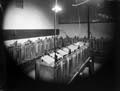 The Poole Photographic Collection