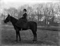 The Poole Photographic Collection