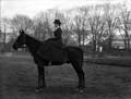 The Poole Photographic Collection