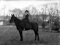 The Poole Photographic Collection