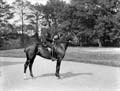 The Poole Photographic Collection