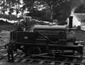 The Poole Photographic Collection