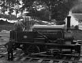 The Poole Photographic Collection