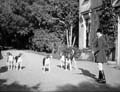 The Poole Photographic Collection