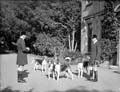 The Poole Photographic Collection