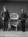 The Poole Photographic Collection