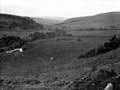 The Poole Photographic Collection