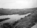 The Poole Photographic Collection