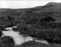 The Poole Photographic Collection