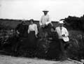 The Poole Photographic Collection