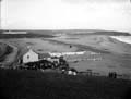 The Poole Photographic Collection