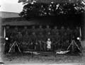 The Poole Photographic Collection