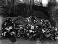 The Poole Photographic Collection