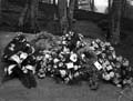 The Poole Photographic Collection