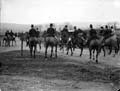 The Poole Photographic Collection