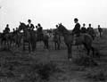 The Poole Photographic Collection