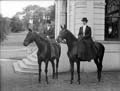 The Poole Photographic Collection