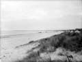 The Poole Photographic Collection