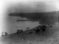 The Poole Photographic Collection