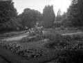 The Poole Photographic Collection