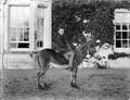 The Poole Photographic Collection