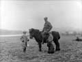 The Poole Photographic Collection
