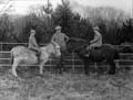 The Poole Photographic Collection