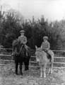 The Poole Photographic Collection