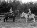The Poole Photographic Collection