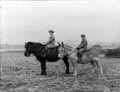 The Poole Photographic Collection
