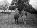 The Poole Photographic Collection