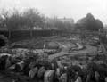 The Poole Photographic Collection