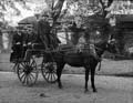 The Poole Photographic Collection