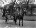 The Poole Photographic Collection
