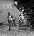 The Poole Photographic Collection