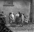 The Poole Photographic Collection