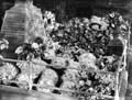 The Poole Photographic Collection