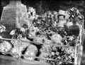 The Poole Photographic Collection