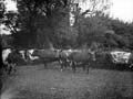 The Poole Photographic Collection