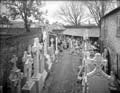The Poole Photographic Collection