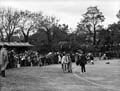 The Poole Photographic Collection