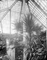 The Poole Photographic Collection