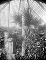 The Poole Photographic Collection