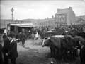 The Poole Photographic Collection