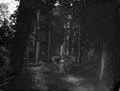 The Poole Photographic Collection