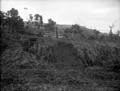 The Poole Photographic Collection