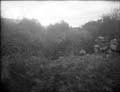 The Poole Photographic Collection