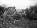 The Poole Photographic Collection